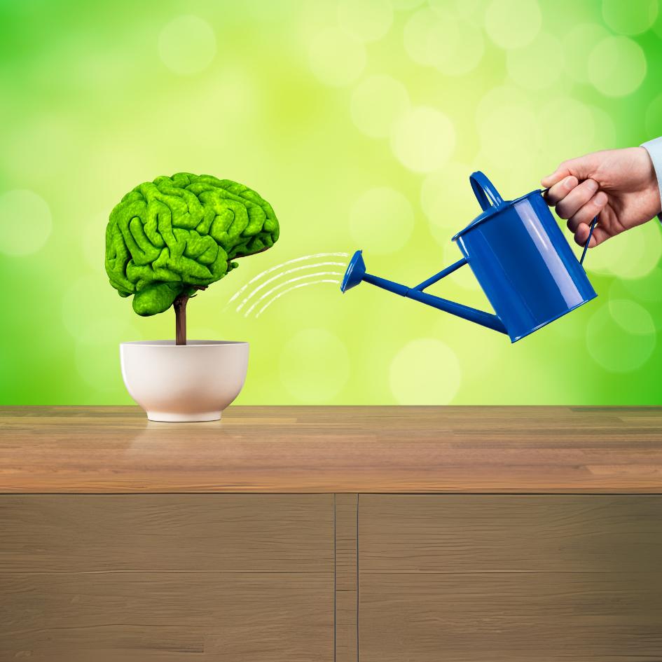 Foundations of Brain Development