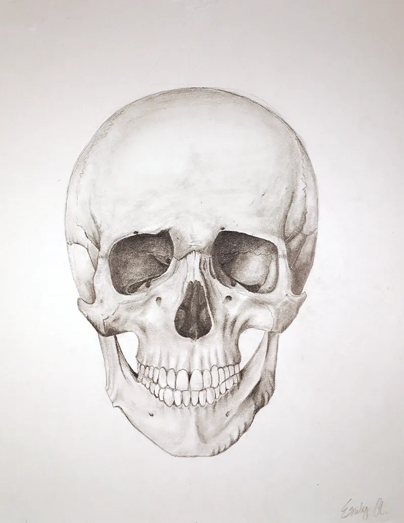 "Skull" by Emily Ackerman, 11th grade at Battle Ground