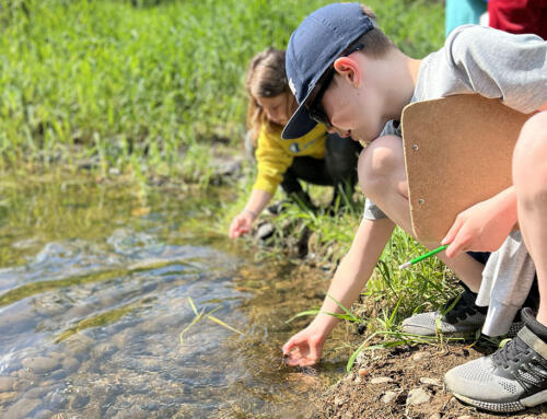 Salmon raised in Clark County classrooms released into the wild