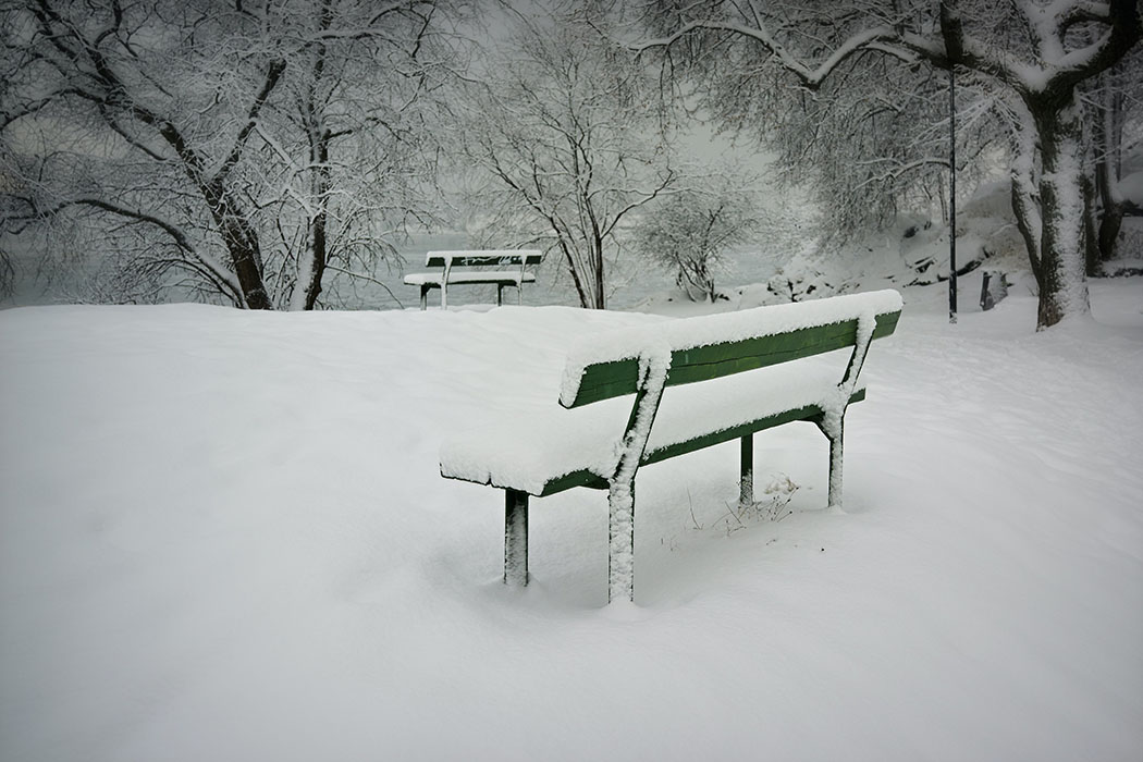 Cold Weather and Freeze Alert: Preparing for Winter Weather